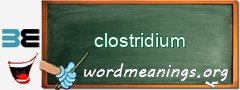 WordMeaning blackboard for clostridium